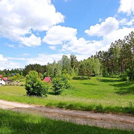 Domki Wczasowe Mazury - Ferienhaus Masuren - Do 12 Osob - Idealny Dla Grup Dluzek エクステリア 写真
