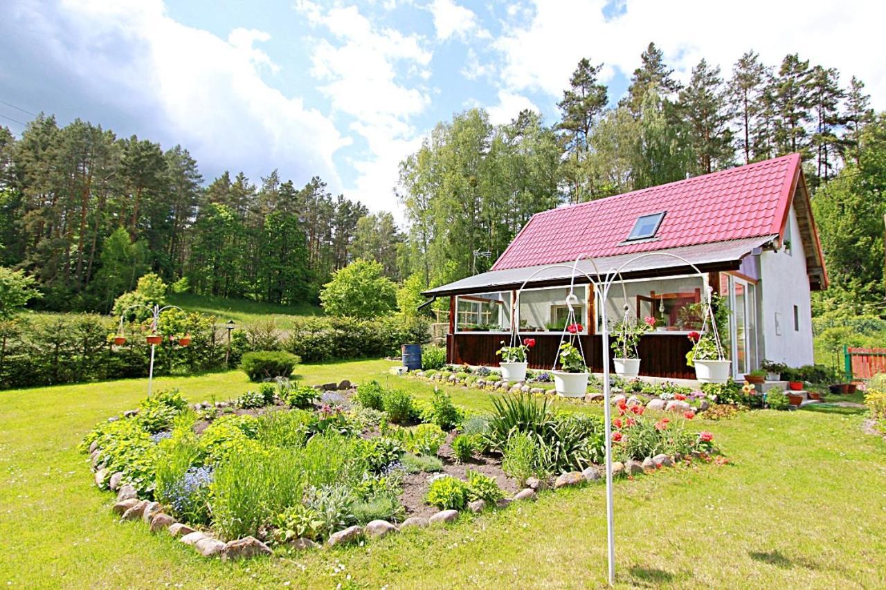 Domki Wczasowe Mazury - Ferienhaus Masuren - Do 12 Osob - Idealny Dla Grup Dluzek エクステリア 写真