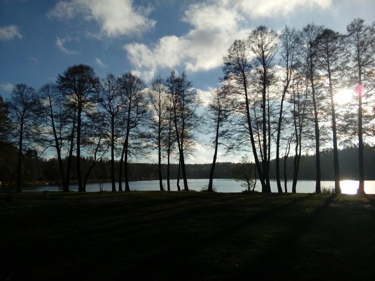 Domki Wczasowe Mazury - Ferienhaus Masuren - Do 12 Osob - Idealny Dla Grup Dluzek エクステリア 写真
